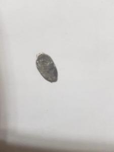 WhatsApp Image 2019-07-08 at 21.59.47.jpeg