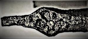 птица 3 (6).jpeg