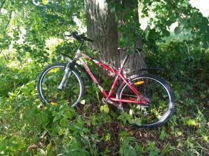 Обновил велосипед 2.jpg