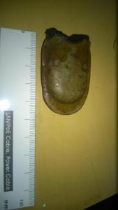 WhatsApp Image 2019-07-18 at 10.50.30.jpeg