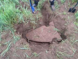 2019-06-30 12-40-27_1.jpg