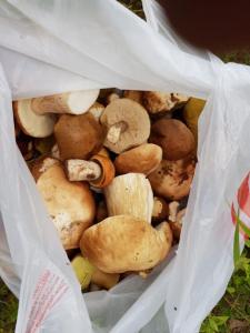 WhatsApp Image 2019-07-16 at 10.06.09.jpeg