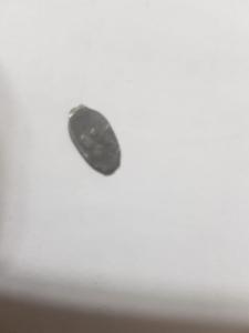 WhatsApp Image 2019-07-08 at 21.59.47(1).jpeg