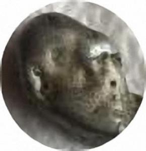 3D1B097E-85F4-4300-AD7F-CE3767D2AE3F.thumb.jpeg.30bca7d11baeb57e674d1bd1c2aa54f9 (С измененным размером).jpg