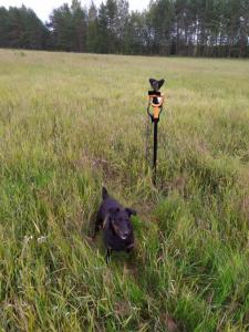 WhatsApp Image 2019-08-03 at 17.12.01.jpeg