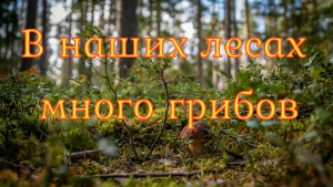 Снимок экрана (176).png