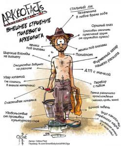 полевой археолог.jpg