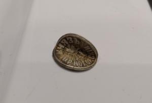 IMG_20190618_113142 (2).jpg