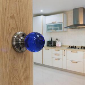 Brushed-nickel-door-knobs-interior-blue-door.thumb.jpg.6c4e00cbaa726591b9afcc4cf1bbe707.jpg