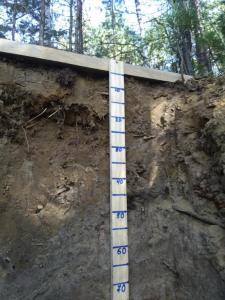 тест яма 3.jpg