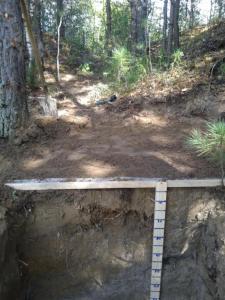 тест яма 2.jpg