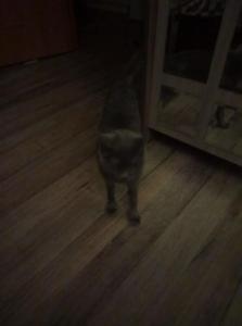 Маша и паралон.jpg