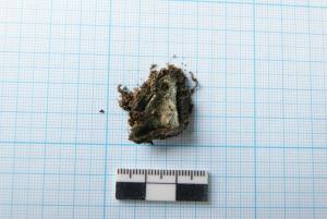 Рис. 7. Погр. 2_бронзовая подвеска.JPG