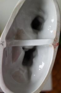 DSC07901_новый размер.JPG