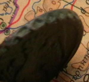 2007-01-02 03-47-00.JPG