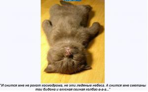 и снится нам...jpg