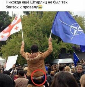 max_g480_c12_r2x3_pd20 (18).jpg