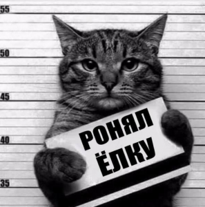 Снимок экрана (342).png