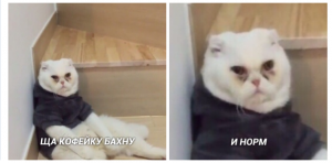 Opera Снимок_2019-11-08_101146_vk.com.png