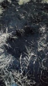 WhatsApp Image 2019-11-17 at 18.31.54.jpeg