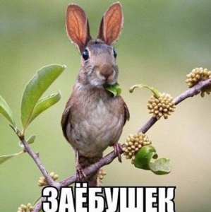 Снимок экрана (343).png