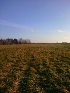 Photo0120  На копе.jpg