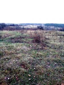 Изображение 1633.jpg