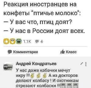 scale_1200 (7) (1).jpg