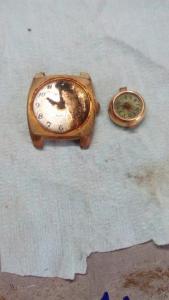 IMG-20190910-WA0001 (Средний).jpeg