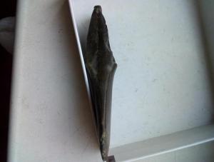 2019-11-22 12-44-58.JPG