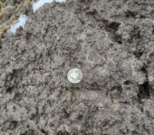 2019-11-11 13_59_13-IMG_20191109_111053_1 - Paint.png