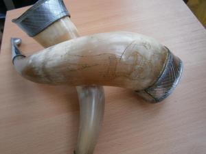 рог 079.JPG