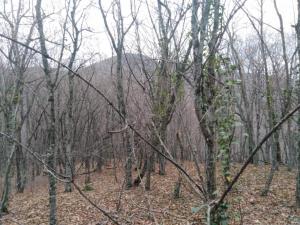 WhatsApp Image 2019-12-08 at 22.08.17.jpeg