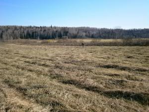 денги П1 067.JPG