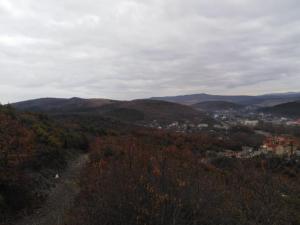 WhatsApp Image 2019-12-08 at 22.08.13(1).jpeg