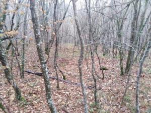 WhatsApp Image 2019-12-08 at 22.08.16.jpeg