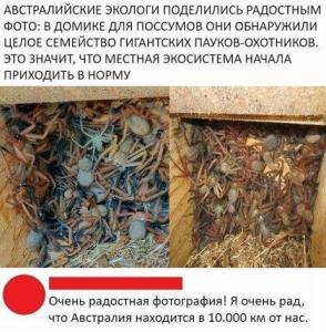 f5ed71d63f701afb53c803f7ece9b72f (1).jpg