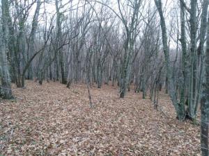 WhatsApp Image 2019-12-08 at 22.08.14.jpeg