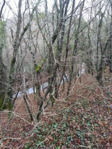 WhatsApp Image 2019-12-08 at 22.08.15.jpeg