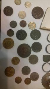 20180924_095238_resized (1).jpg