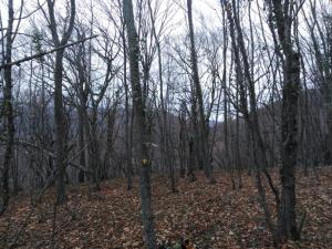 WhatsApp Image 2019-12-08 at 22.08.13.jpeg