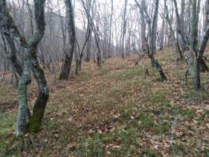 WhatsApp Image 2019-12-08 at 22.08.17(1).jpeg