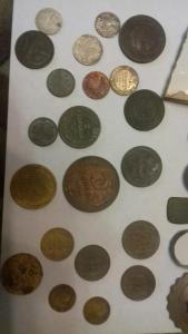 20180924_095146_resized (1).jpg