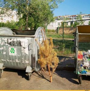 Новый-Год-елка-слабак-август-4011097 (1).jpeg