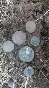 20191109_150138_resized (1).jpg