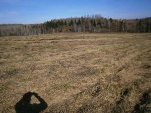 денги П1 069.JPG