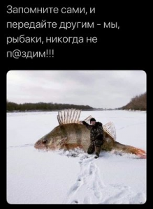 image.thumb.png.36ffb67c56faae26e2f41548