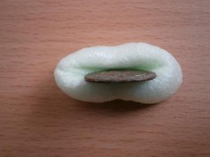 самые новые 030.JPG