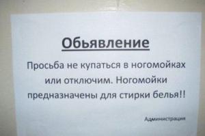 in_article_9070eb5536 (1).jpg