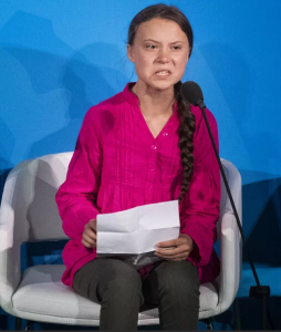 2020-01-27 16_17_48-тунберг гретта карикатура_ 11 тыс изображений найдено в Яндекс.Картинках.png